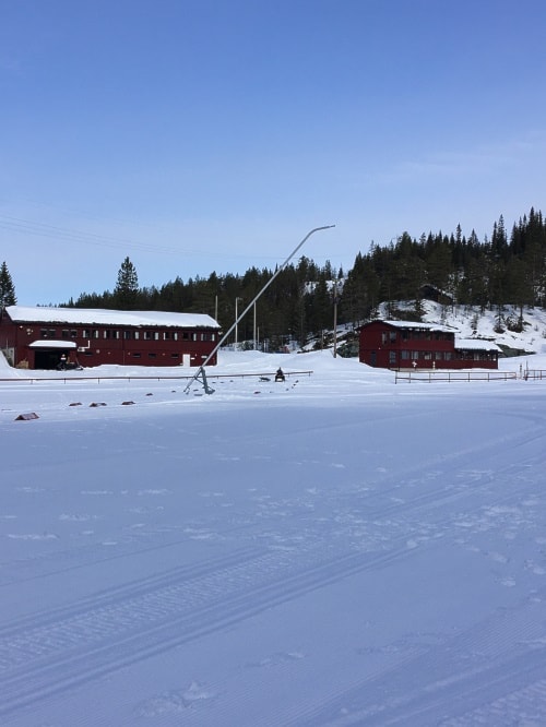 Stjørdalssprinten 2019